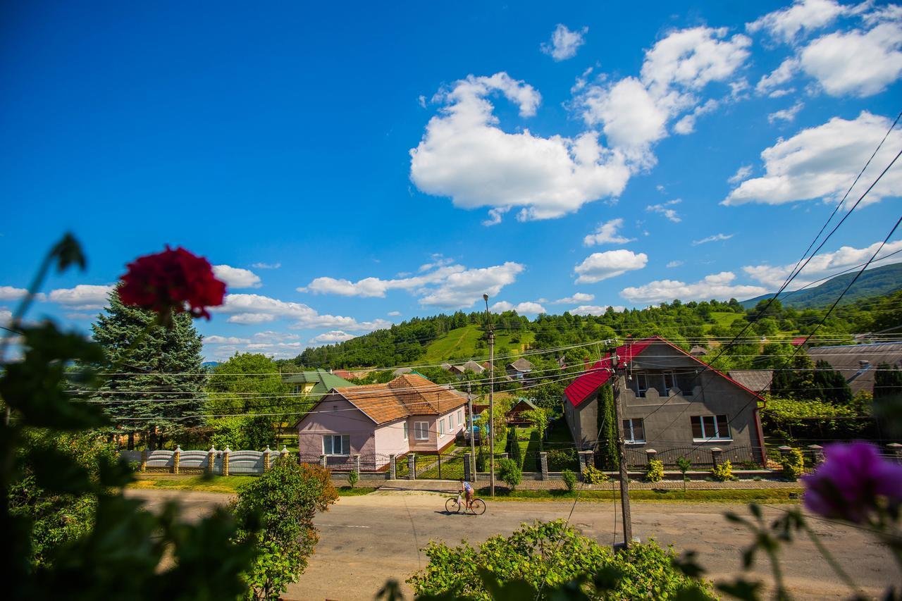 Guest House In Drachino Svalyava Dış mekan fotoğraf
