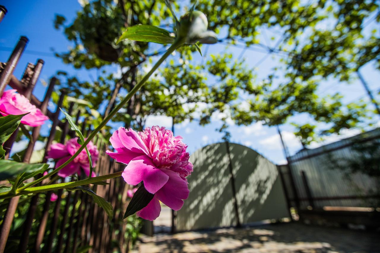 Guest House In Drachino Svalyava Dış mekan fotoğraf