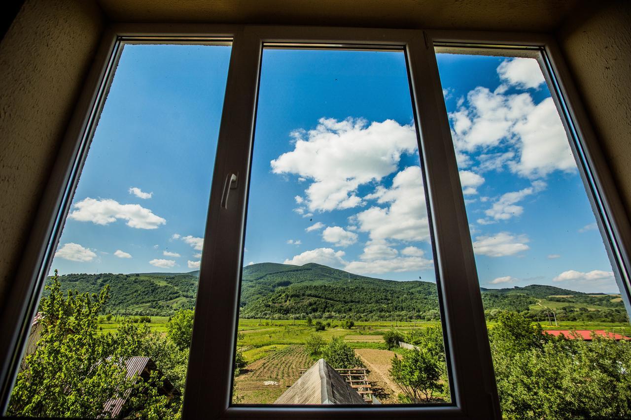 Guest House In Drachino Svalyava Dış mekan fotoğraf