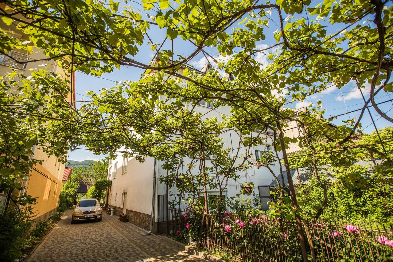 Guest House In Drachino Svalyava Dış mekan fotoğraf