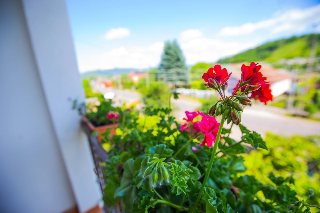 Guest House In Drachino Svalyava Dış mekan fotoğraf